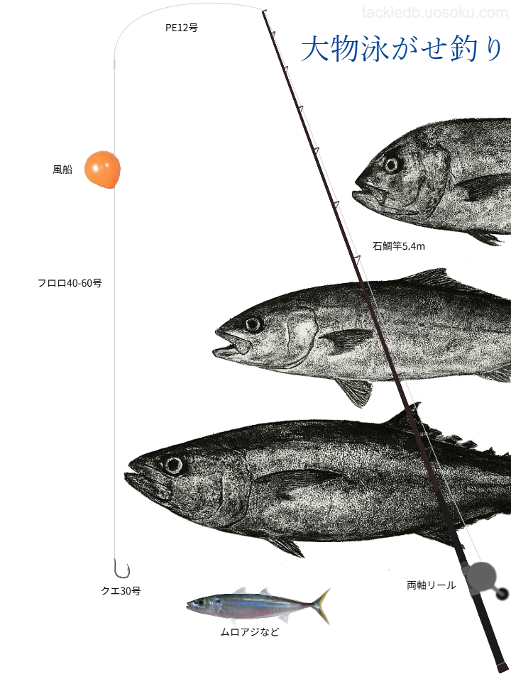 大型青物のルアーフィッシングの基本タックル