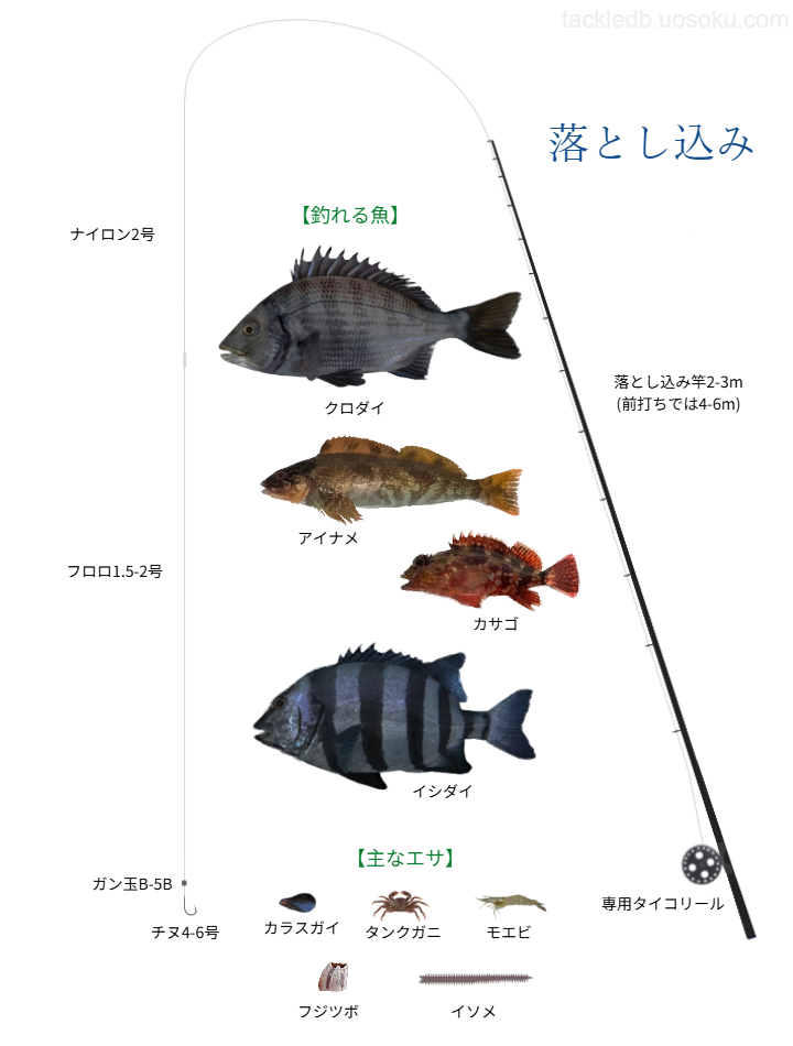 落とし込み釣り・ヘチ釣りの基本仕掛け・タックル