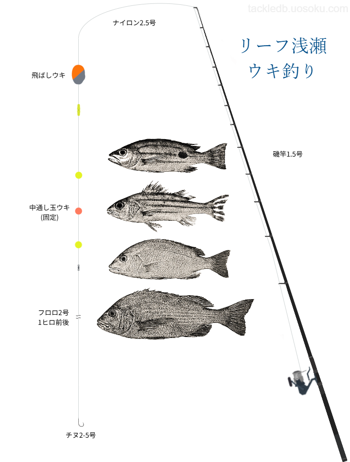 リーフ浅場のウキ釣りの基本仕掛け・タックル