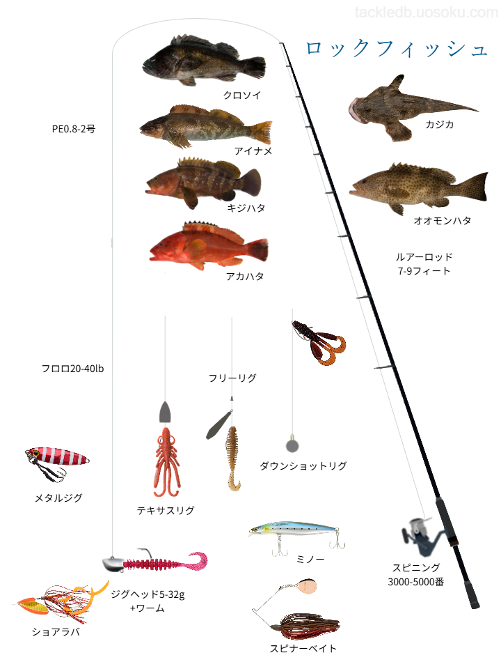 ロックフィッシュルアー釣りの基本仕掛け・タックル
