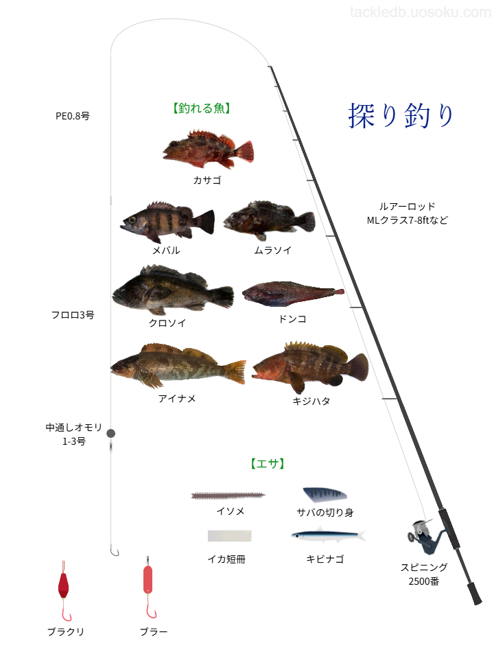 探り釣りの基本仕掛け・タックル