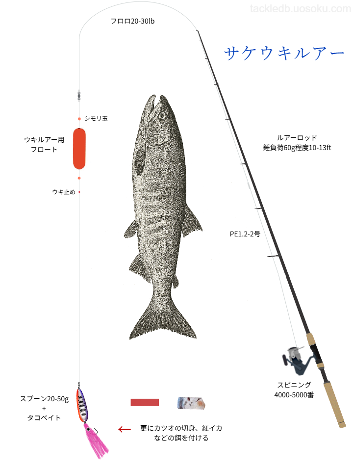 サケウキルアー釣りの基本仕掛け・タックル