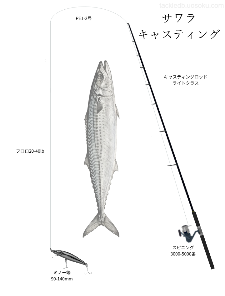 サワラキャスティングの基本タックル