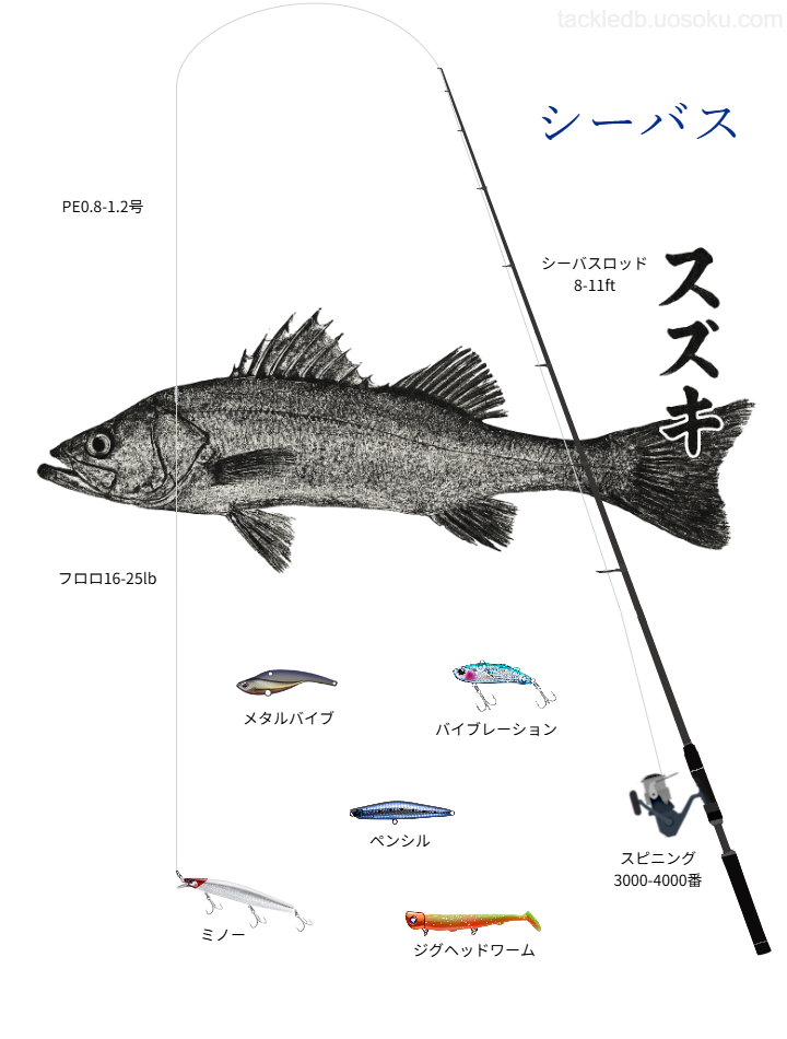 シーバスルアーフィッシング基本タックル