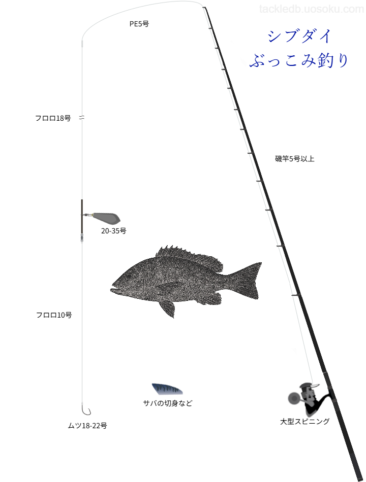 シブダイぶっこみ釣りの基本仕掛け・タックル