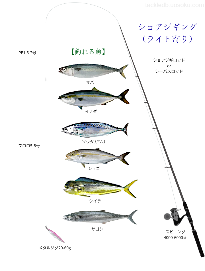 ライトショアジギングの基本仕掛け・タックル