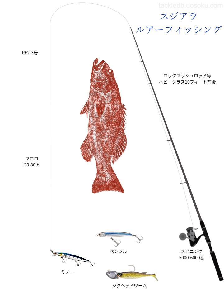 スジアラルアーの基本仕掛け・タックル