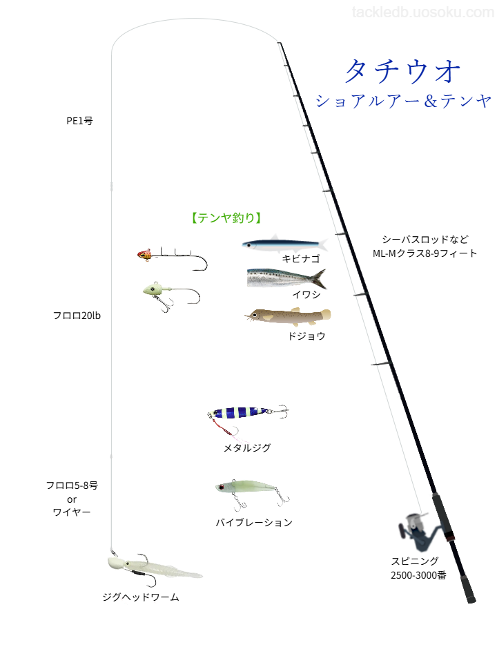 ショアタチウオルアー＆テンヤ釣りの基本タックル