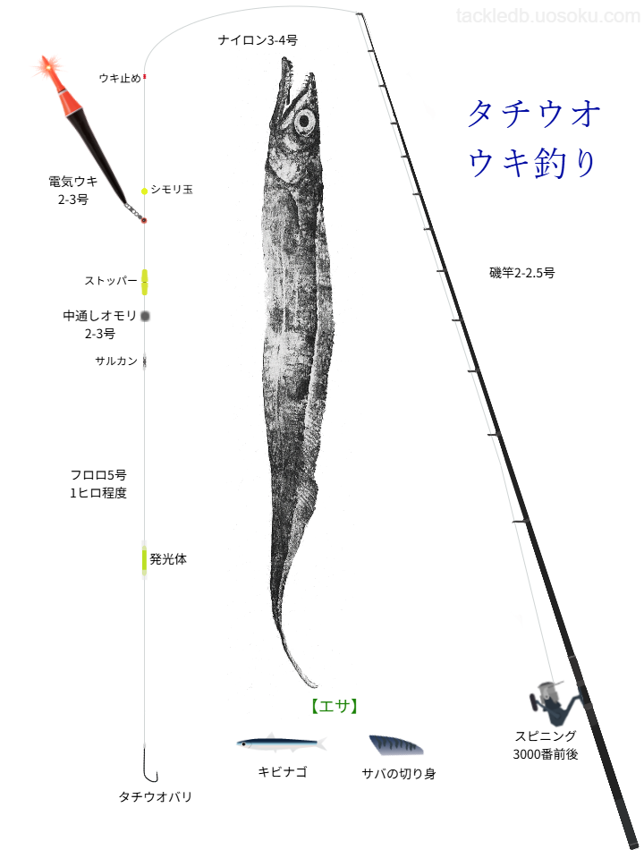 タチウオのウキ釣り基本仕掛け・タックル