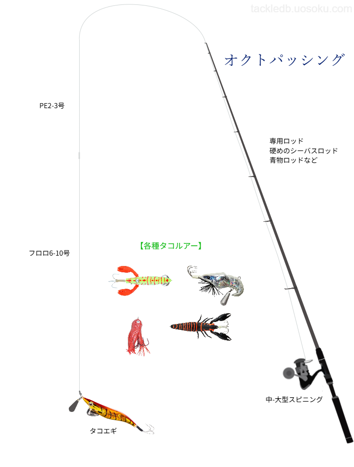 タコのルアーフィッシングの基本タックル