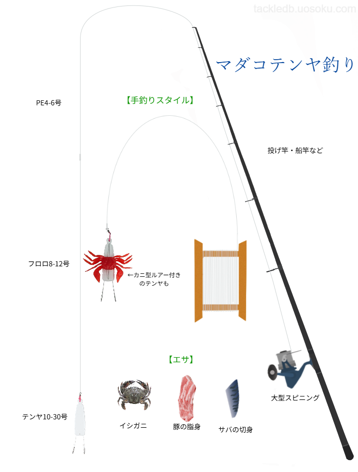 マダコの岸テンヤ釣りの基本仕掛け・タックル