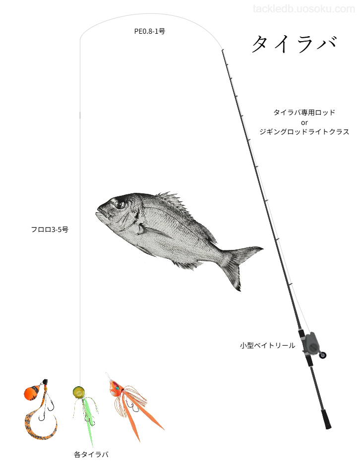 タイラバの基本タックル