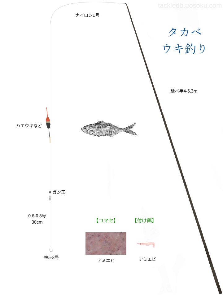 タカベのウキ釣りの基本仕掛け・タックル