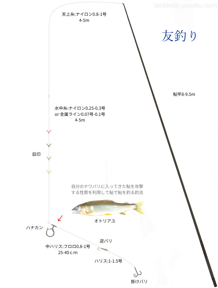 鮎の友釣りの基本仕掛け・タックル