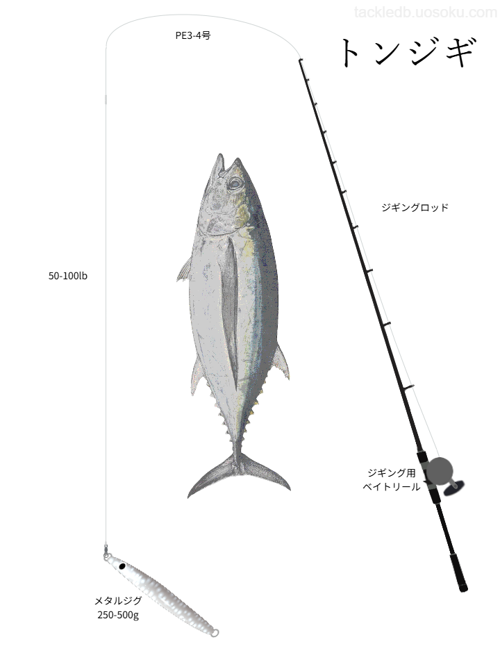トンジギの基本タックル