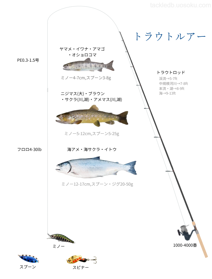 トラウトルアーフィッシング基本タックル