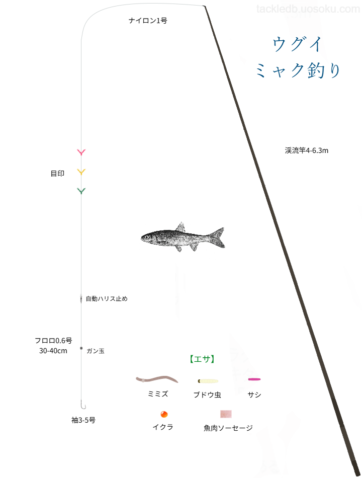 ウグイミャク釣りの基本仕掛け・タックル