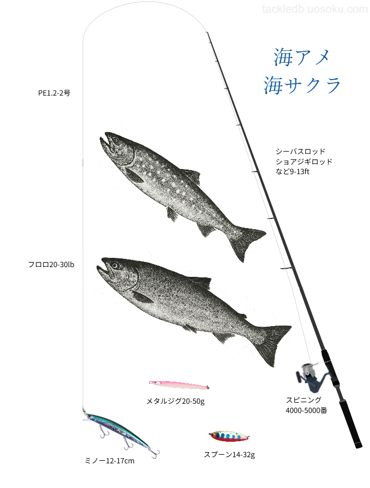 海アメ、海サクラルアーフィッシング基本タックル