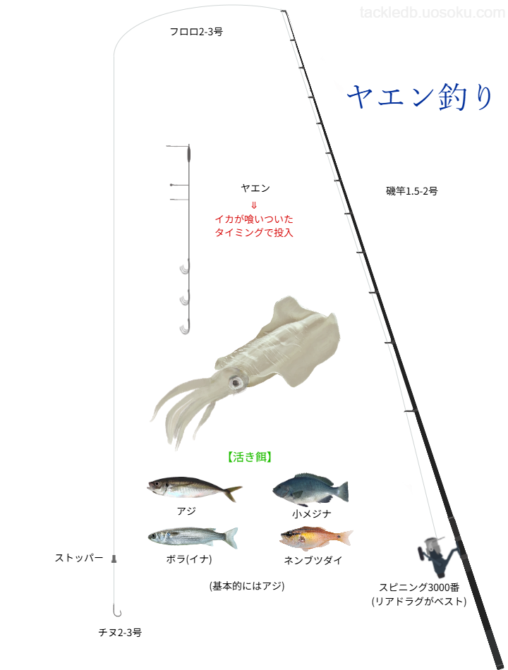 ヤエン釣りの基本仕掛け・タックル