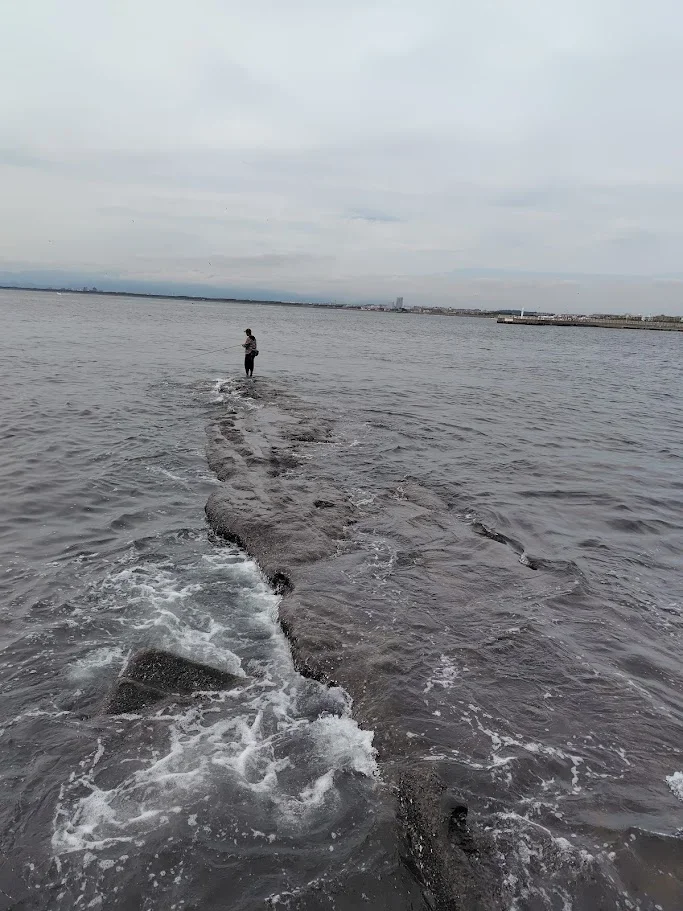 江の島アイランドスパ裏の磯で釣りをする人