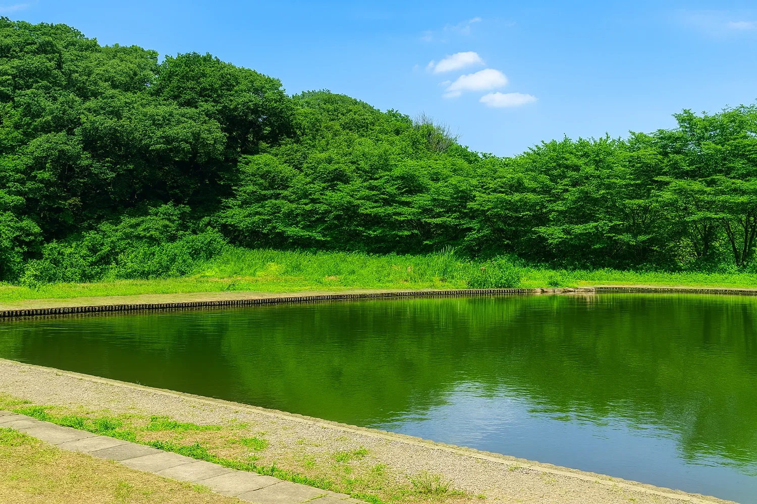 フィッシュオン！王禅寺サブロー池