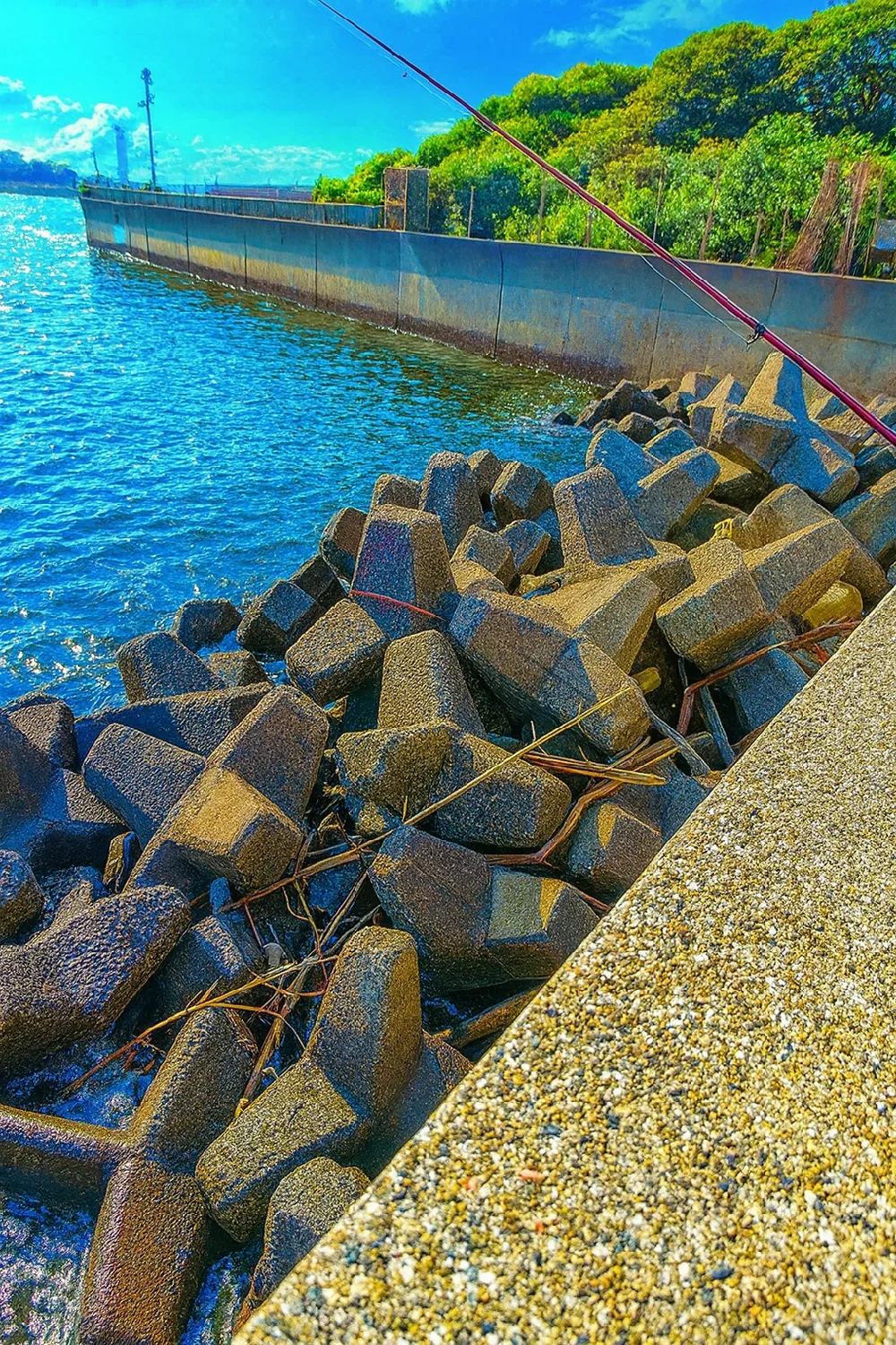 東扇島西公園のテトラポット