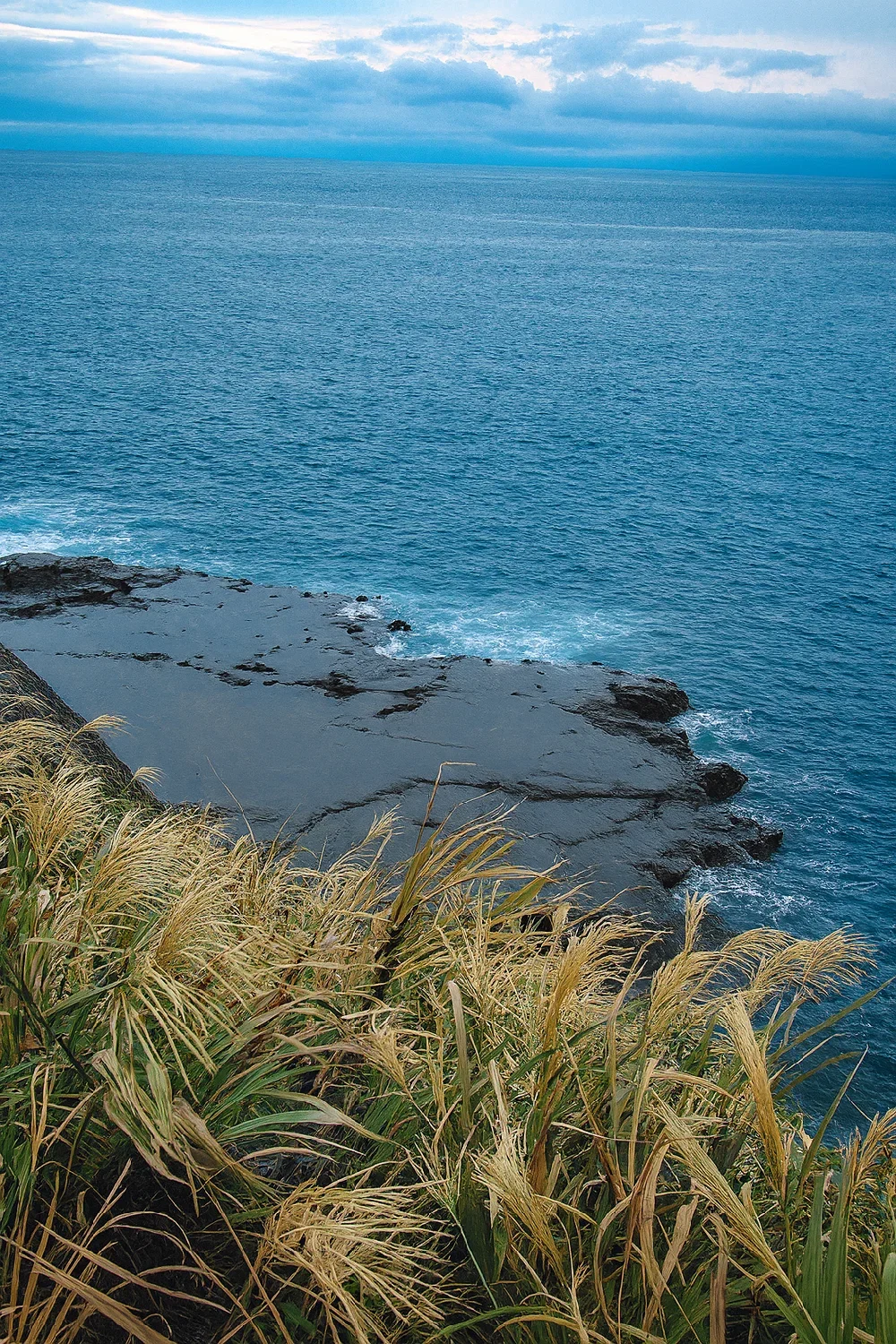 江ノ島裏磯大平・ボラ場付近の様子