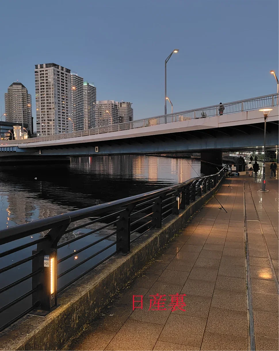 帷子川河口(日産裏)