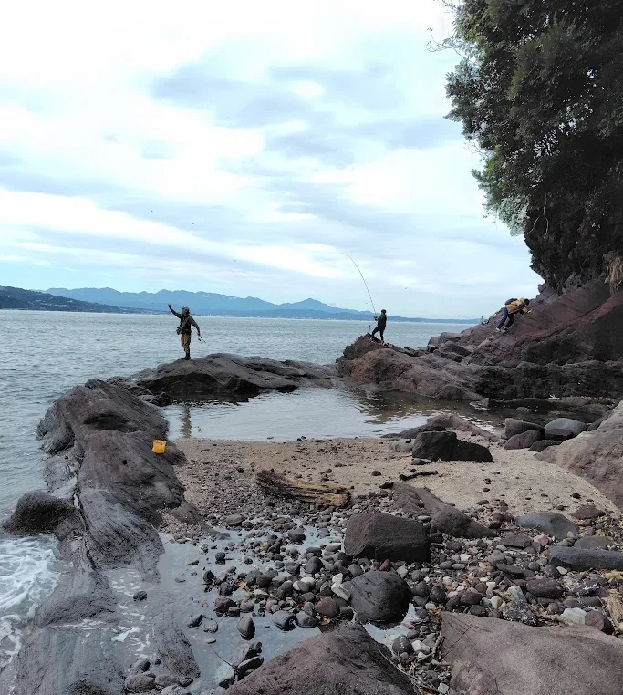 真鶴琴ヶ浜の磯で釣りをする人々