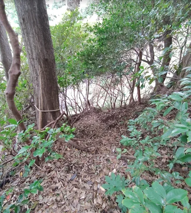 真鶴釜の口への道
