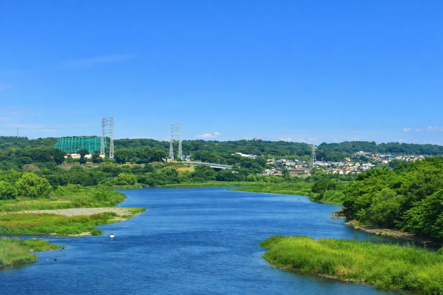 昭和橋付近の相模川
