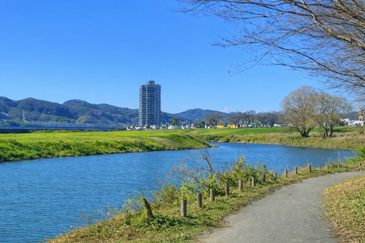 相模川弁天釣り場付近