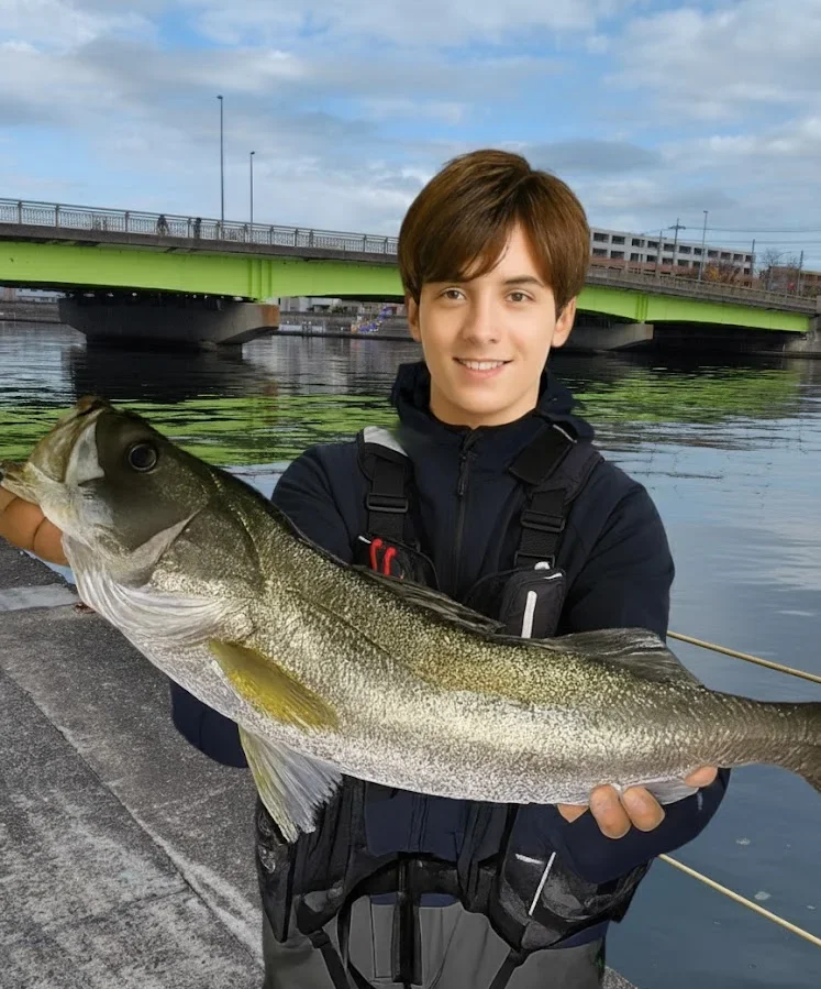 鶴見川でシーバスを釣った久良木