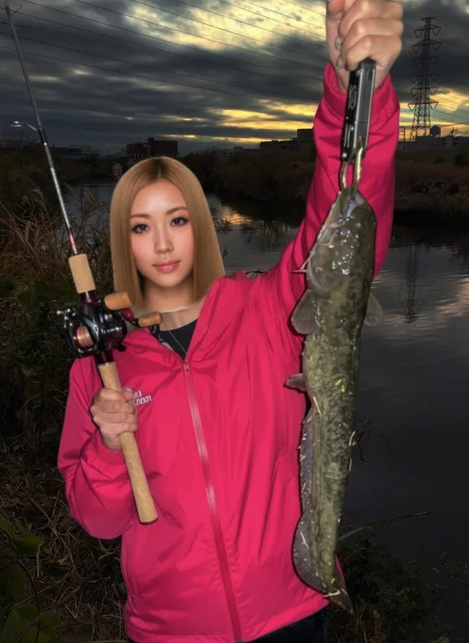 鶴見川でナマズを釣った階下