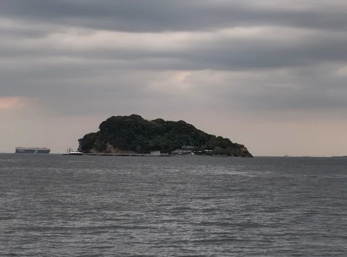 うみかぜ公園から見た猿島