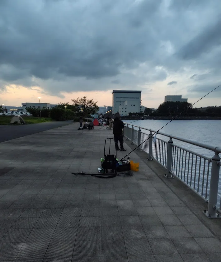 杉田臨海緑地公園で釣りをする人々