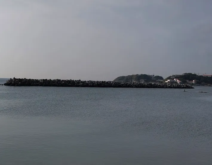 海外テトラ