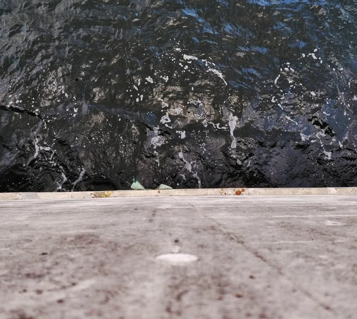 金沢水際線緑地海面までの距離感