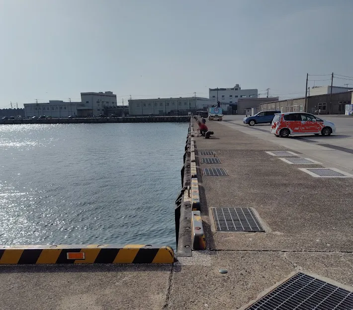 超低温冷蔵庫奥の岸壁