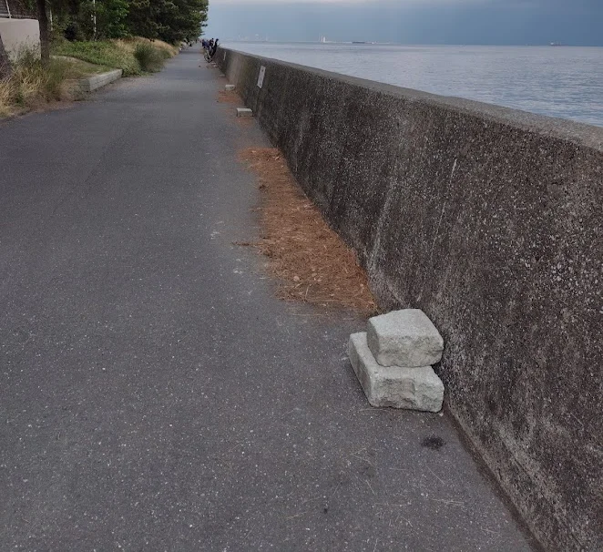 八景島対岸-足元のブロック