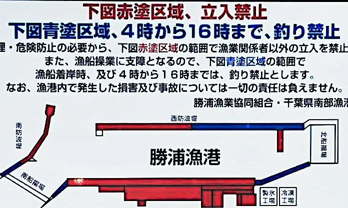 勝浦港釣り禁止エリア、時間を示した看板