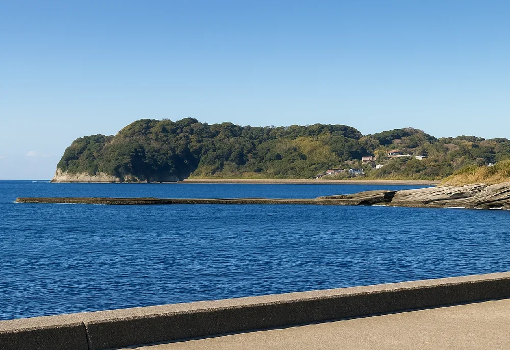 道路から見た丸山堤防