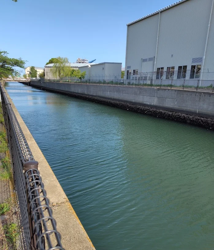 大岡川分水路内