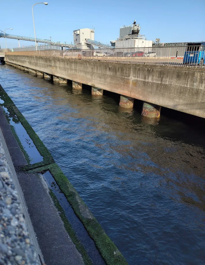 磯子海釣り施設駐車場前のポイント