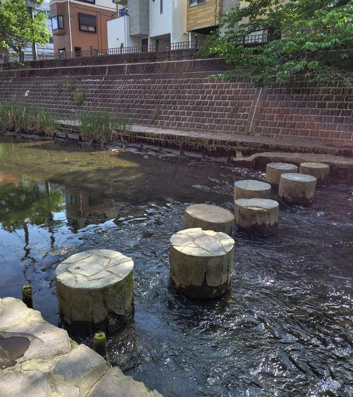 大岡川観音橋下流