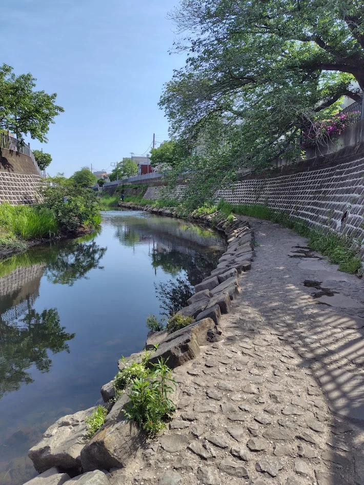 大岡川観音橋上流