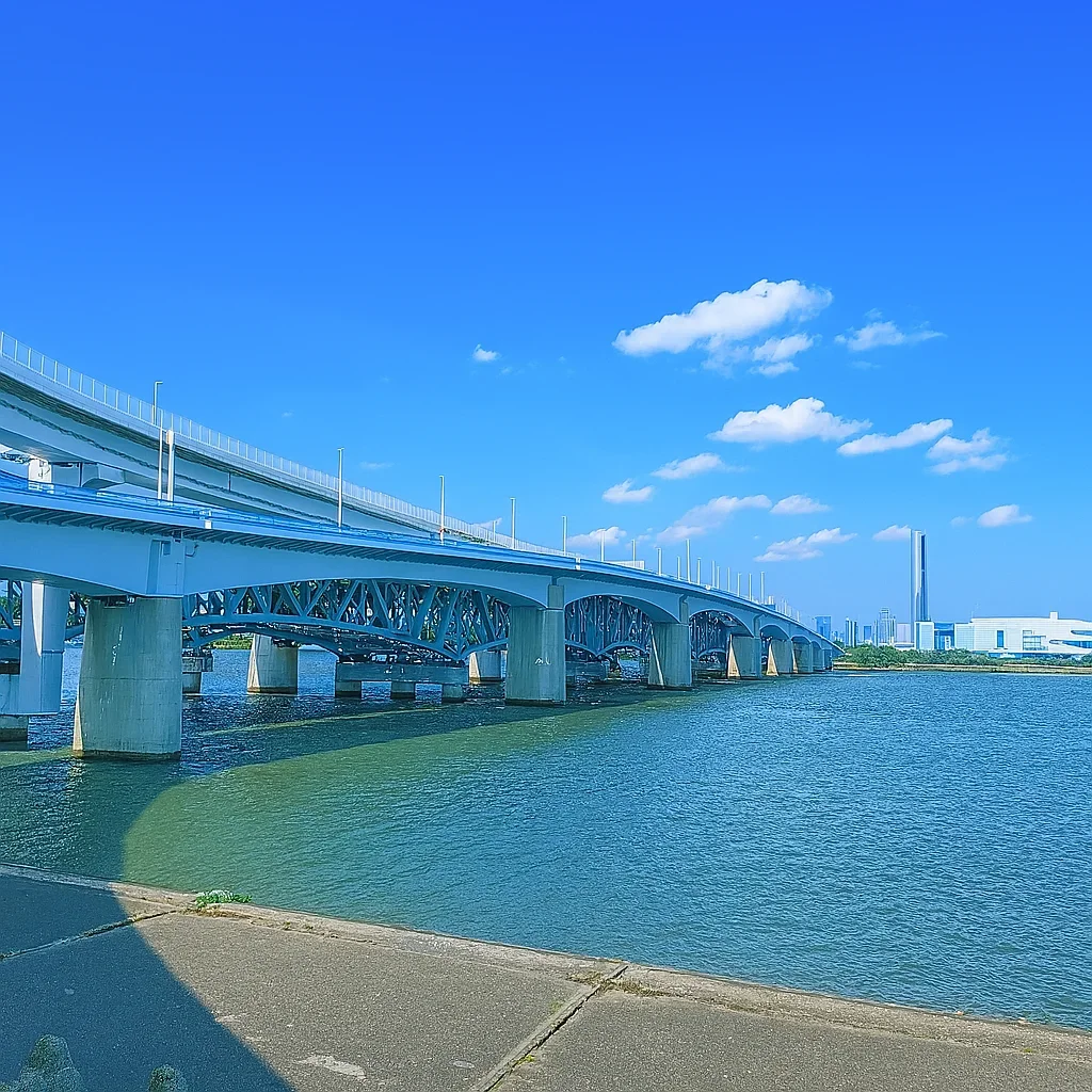 荒川河口橋周辺の様子