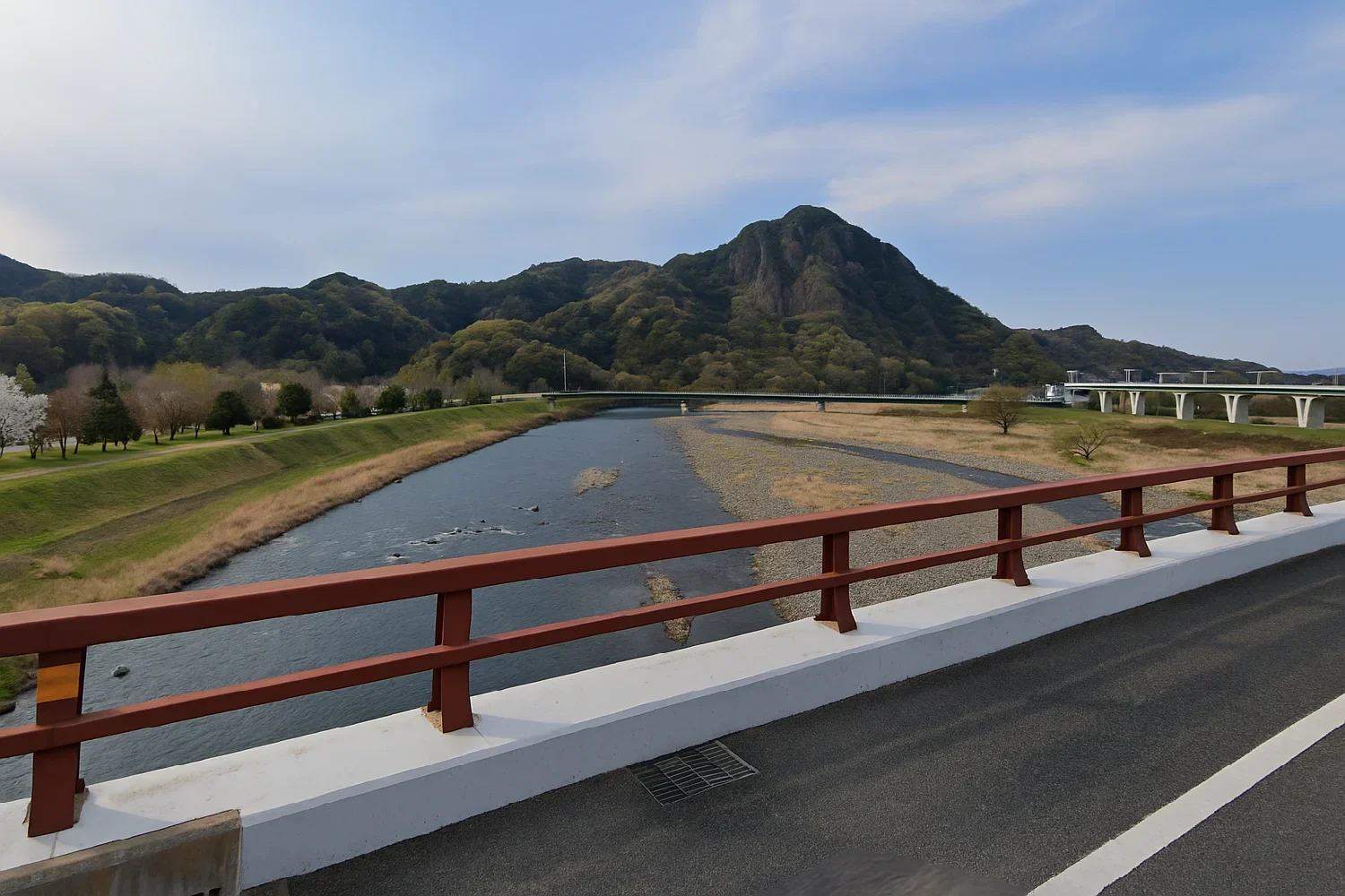 新狩野川大橋付近の狩野川