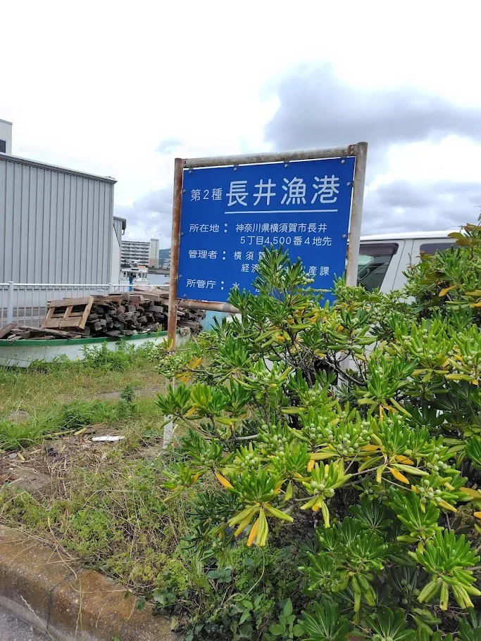 長井漁港入口