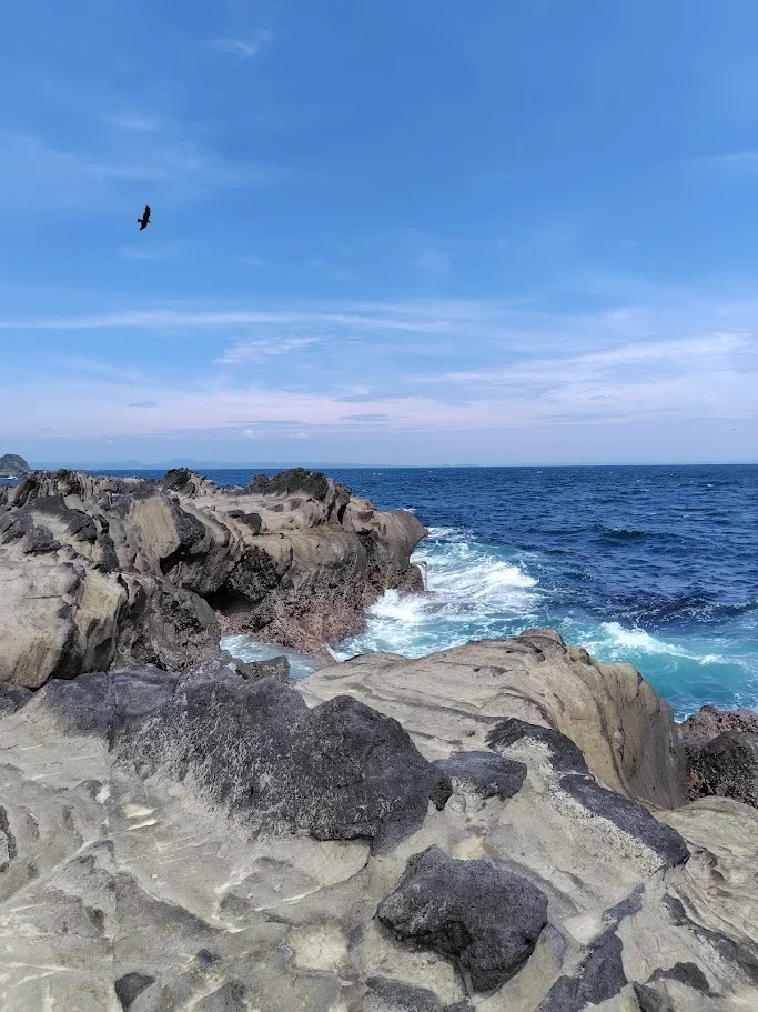 観音山下の海